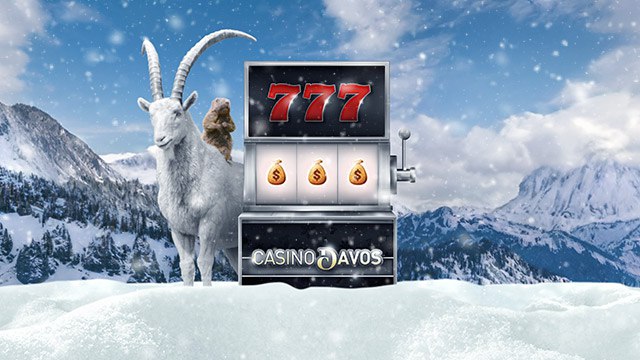 Casino777.ch: Hintergründe und Fakten