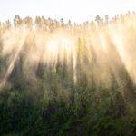 Woran starb Melanie Olmstead? Die ganze Geschichte zum Yellowstone-Tribut