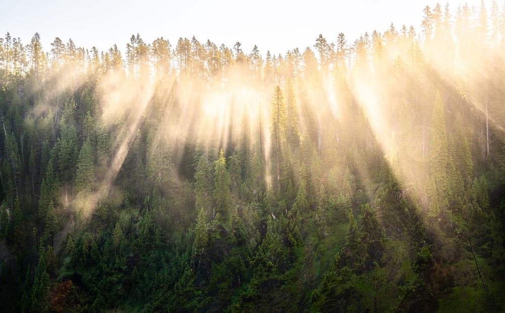 Woran starb Melanie Olmstead? Die ganze Geschichte zum Yellowstone-Tribut